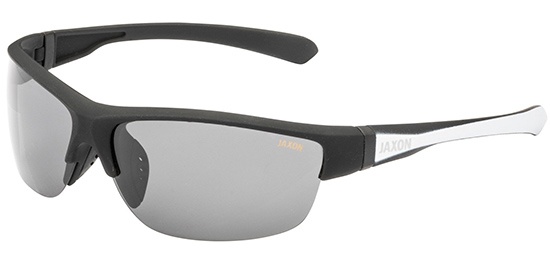 Polarisationsbrille 