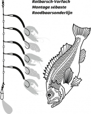 Rhino Rotbarsch-Vorfach mit Circle-Haken, selbstleuchtend 50kg 1mm 0,8mm Länge 1m