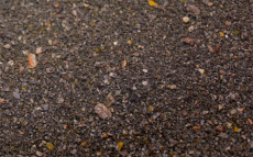 Matchpro Brassenfutter schwarz LESZCZ CZARNA 1kg (Gold-Edition)