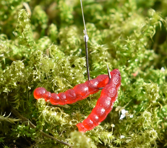 30 künstliche rote Zuckmückenlarven Würmer Mückenlarven 